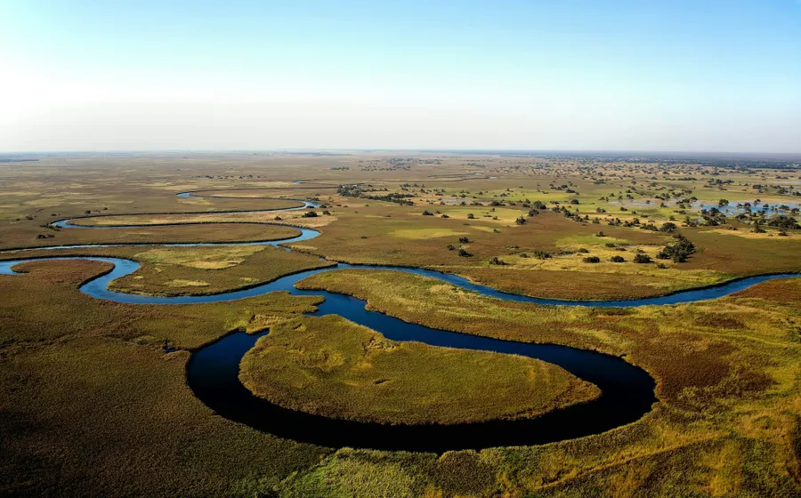 Okavango Delta from the air during the flood season, river channels winding through golden grasslands