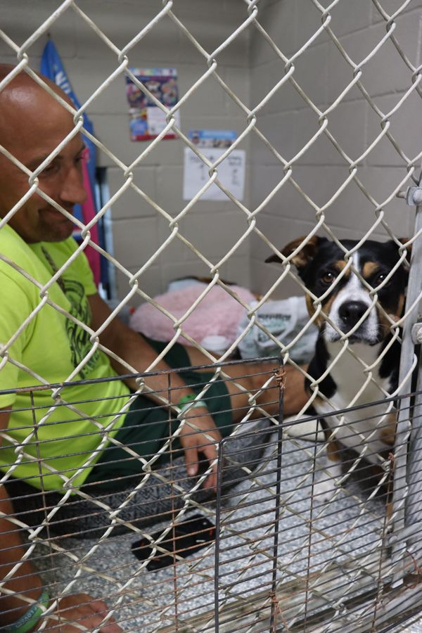 Kris Rotonda’s Wichita County kennel sit-in fills seats for furry friends