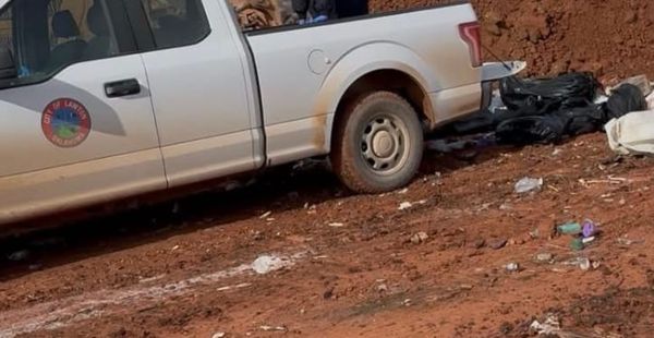 Texoma promotes Spay and Neuter Month to address stray crisis