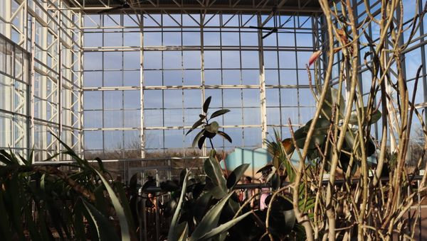 River Bend Nature Center encourages community and conservation