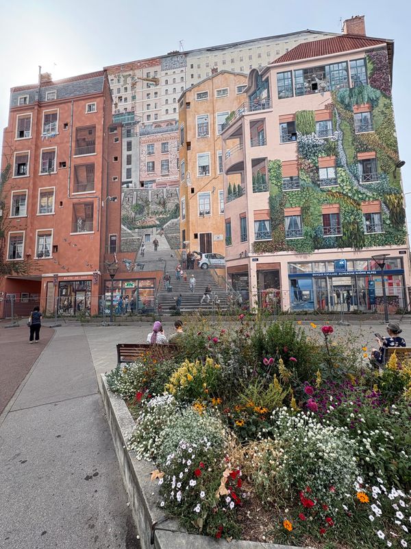 Lyon's Delights