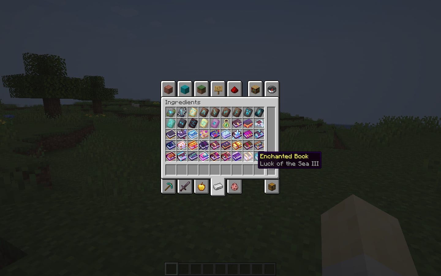 Xali's Enchanted Books