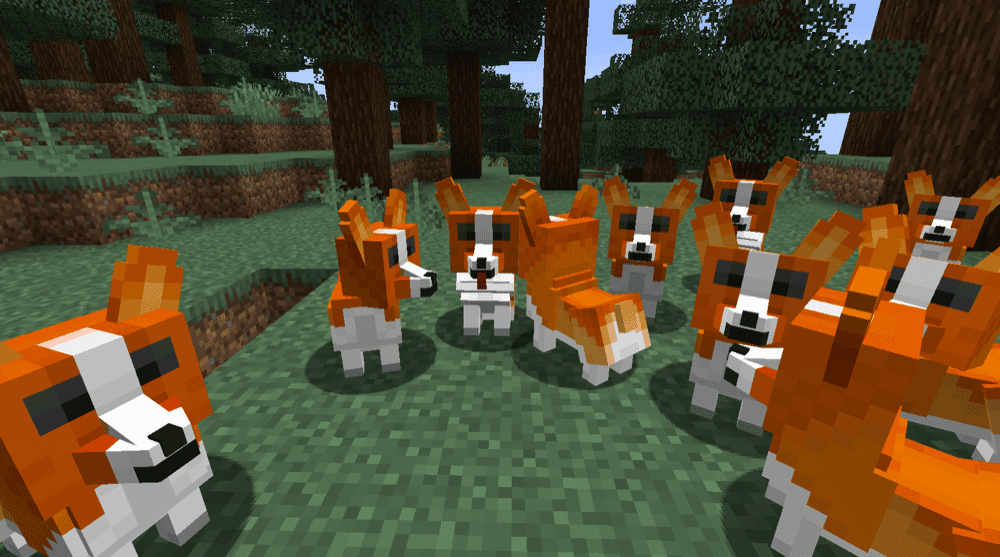 Player Companions Mod