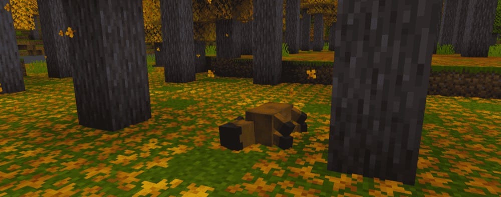 Promenade Mod