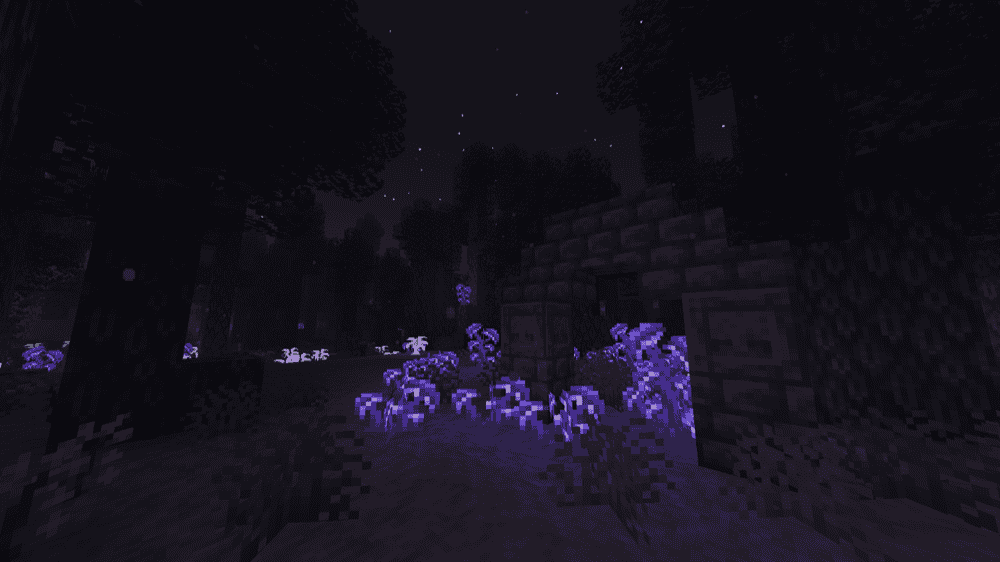 The Midnight Mod