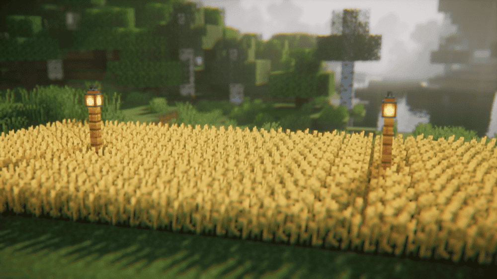 No Farmland Trample Mod