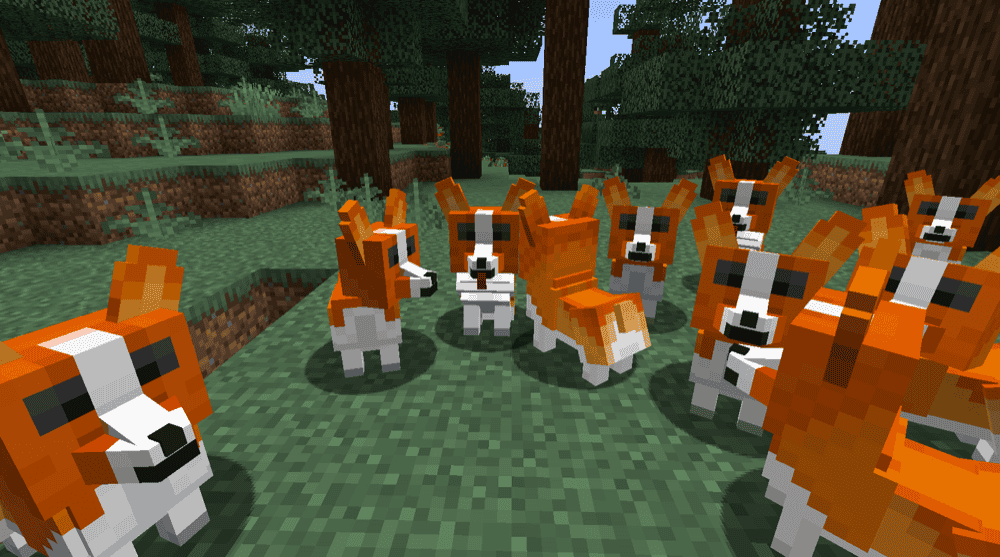 Player Companions Mod