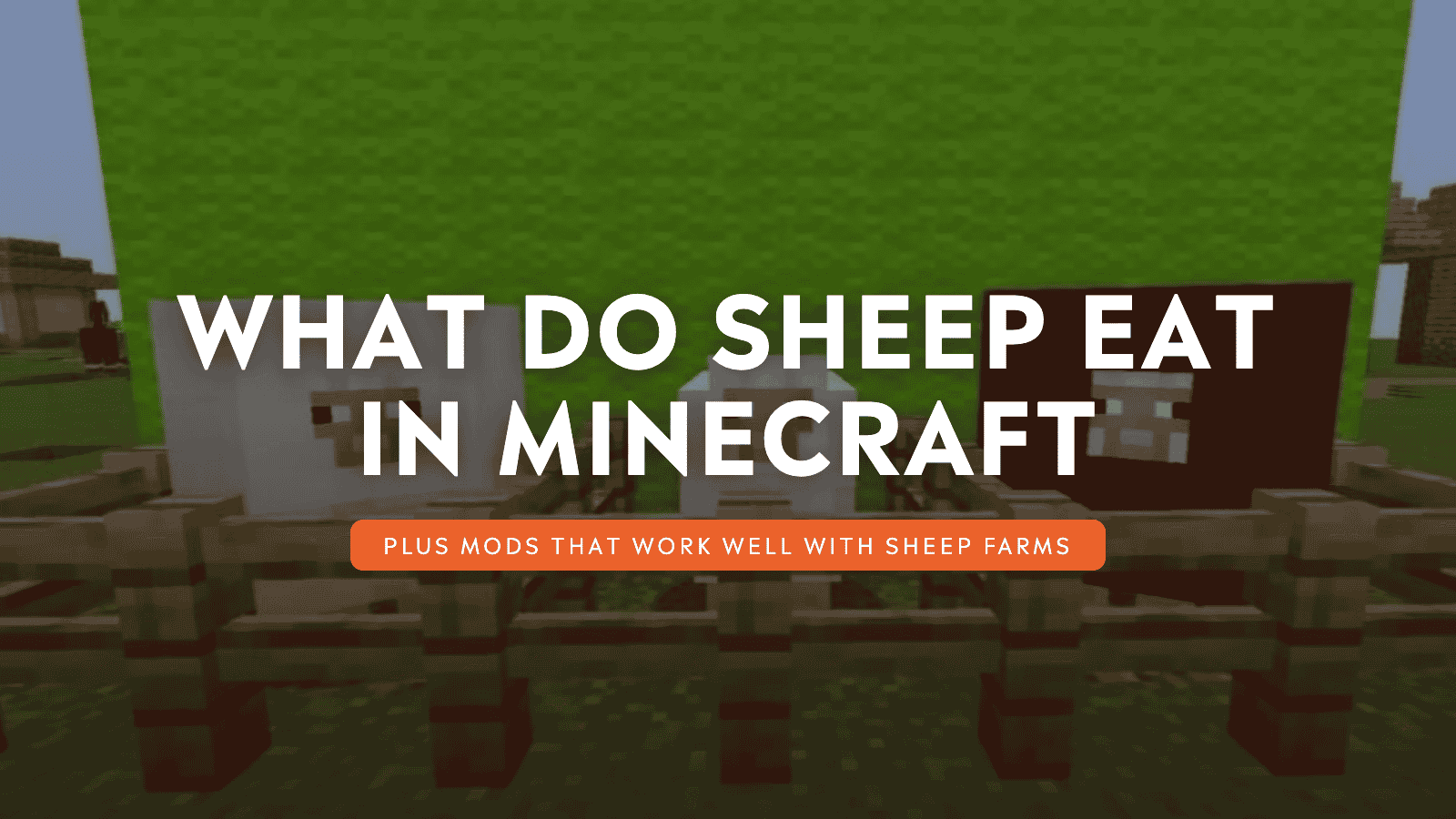 What Do Sheep Eat in Minecraft?