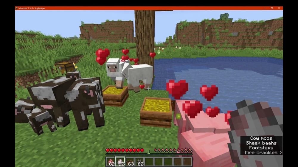 Animal Feeding Trough Mod