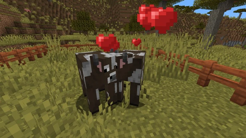 Minecraft cow standing in a fenced grassy pen with heart particles above it during breeding.