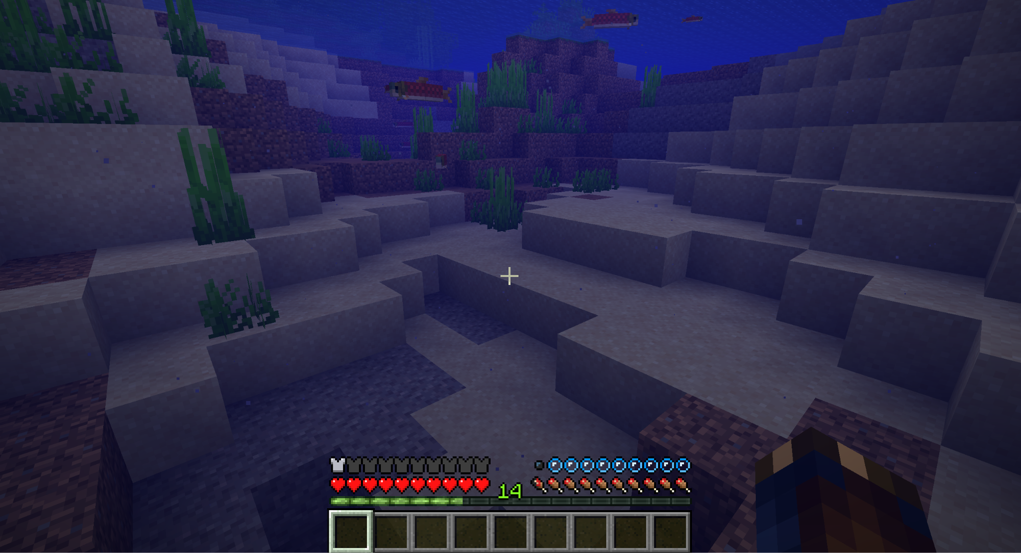A Minecraft screenshot of the player underwater, their oxygen depleting.