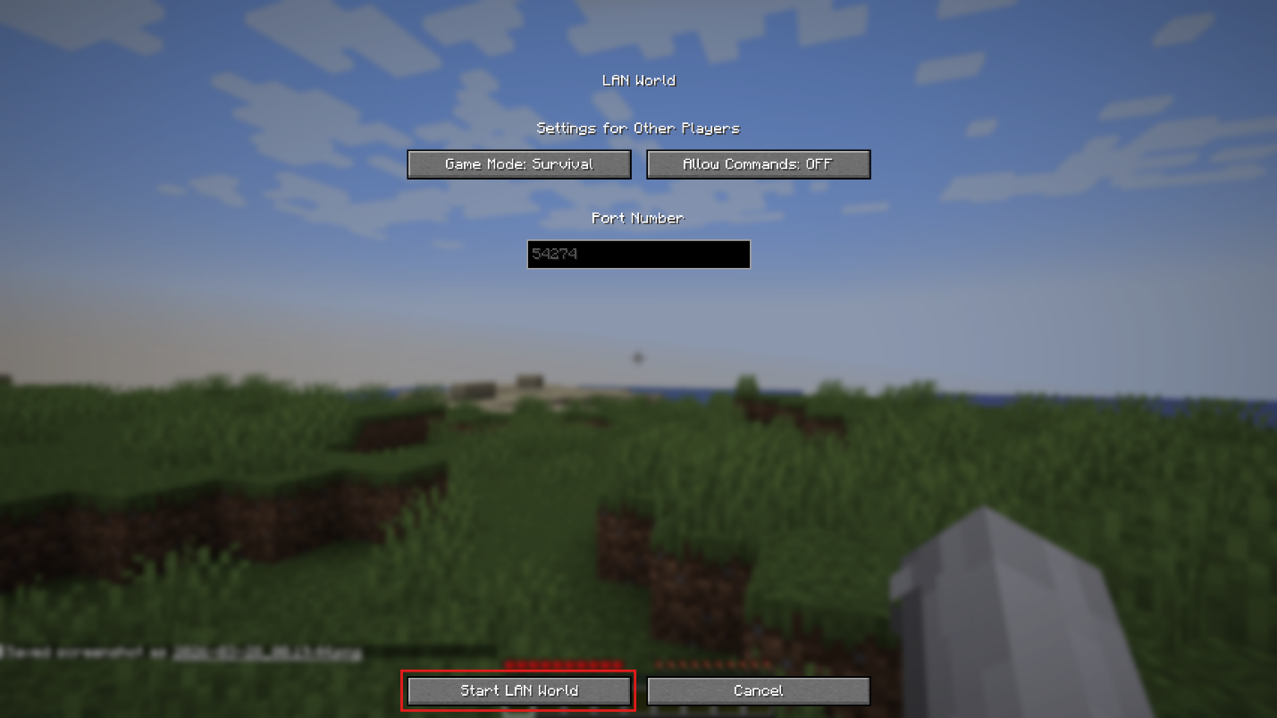 Minecraft Java Start LAN World screen with port number shown.