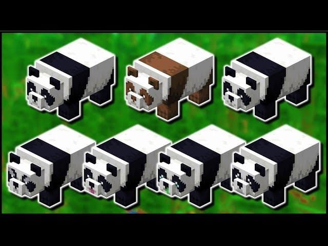 Seven Minecraft panda variants shown on a blurred jungle background, including one brown panda and six black-and-white pandas with different facial expressions.