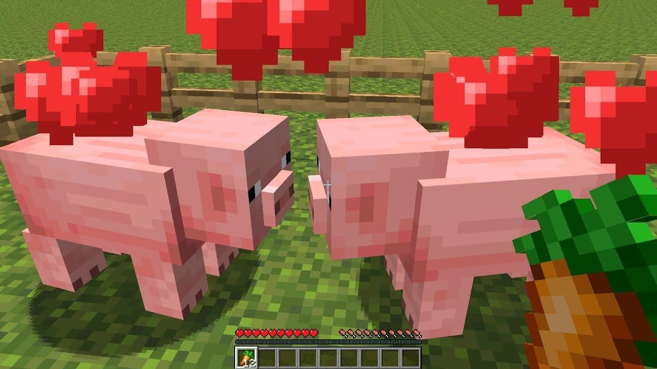 Two pigs in Minecraft breeding with heart particles while the player holds a carrot.