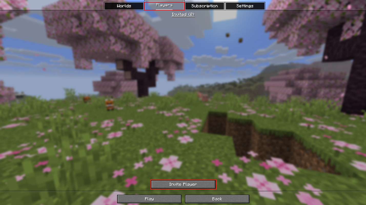 Minecraft Realms "Players" tab with "Invite Player" button.
