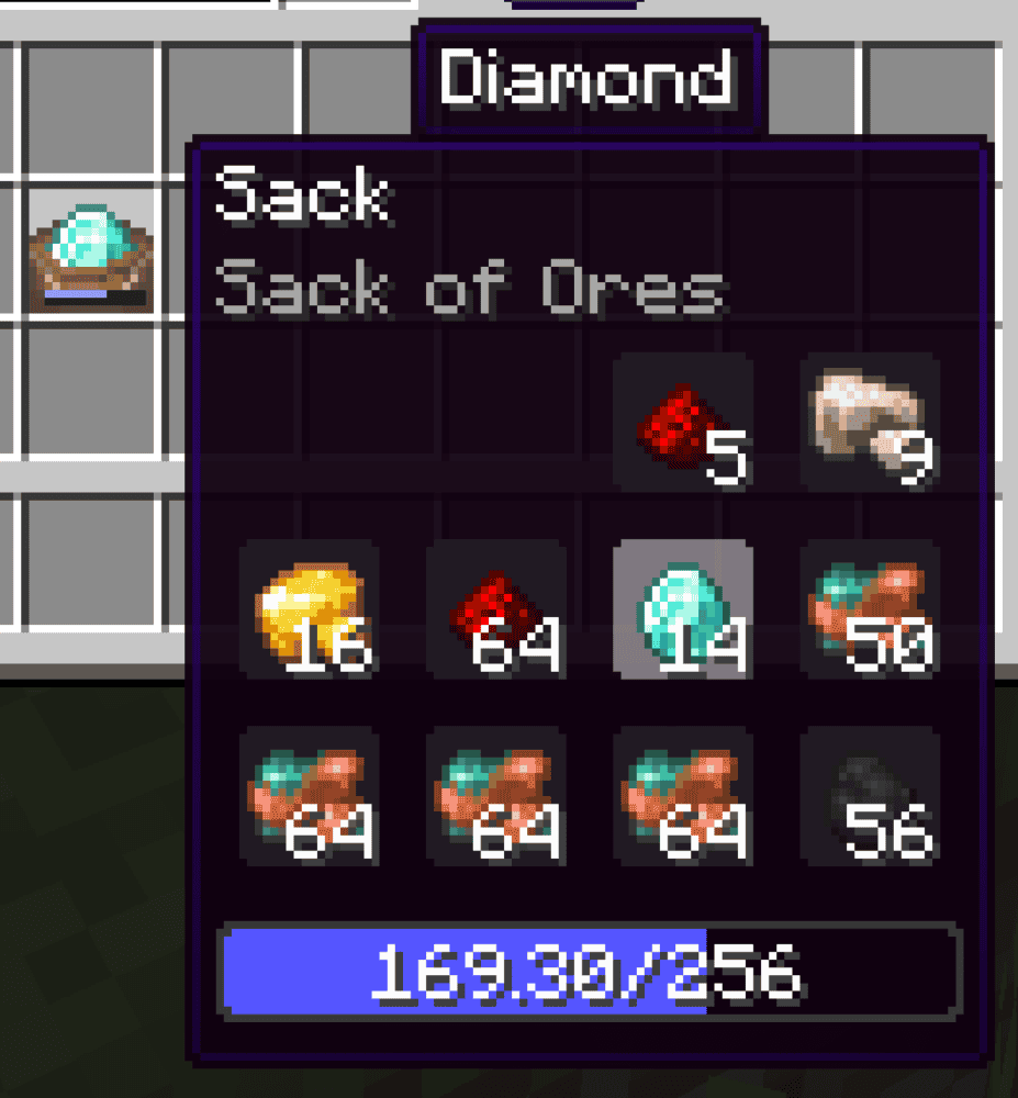 Inventory Expansion Mod