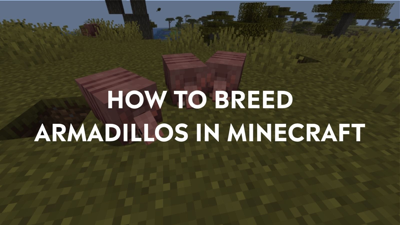 How to Breed Armadillos in Minecraft