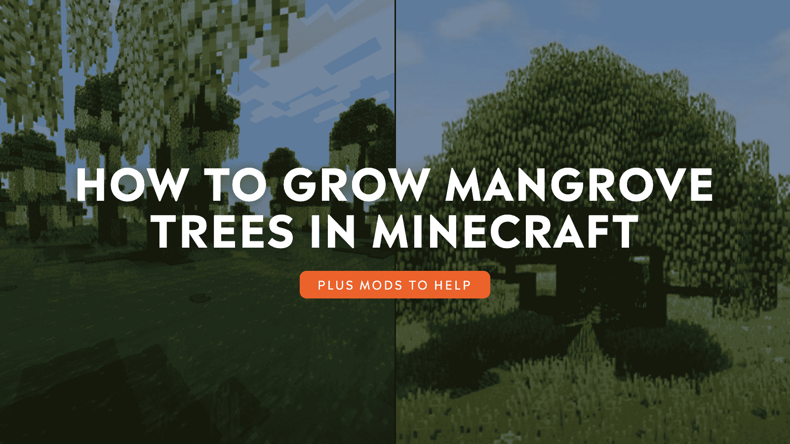 How to Grow Mangrove Trees in Minecraft