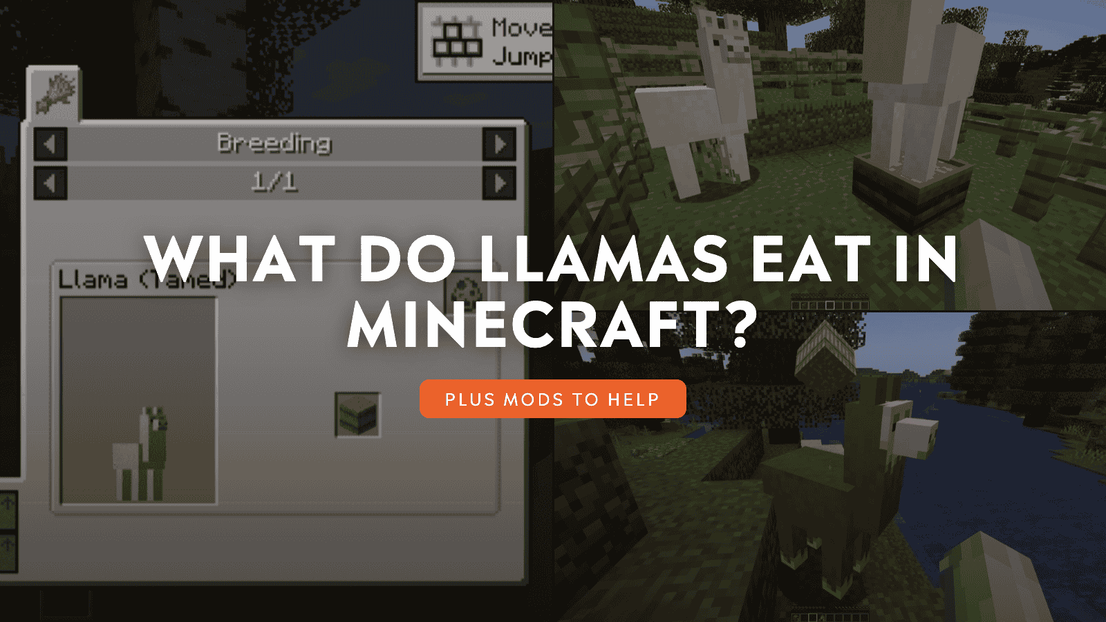 What Do Llamas Eat in Minecraft?