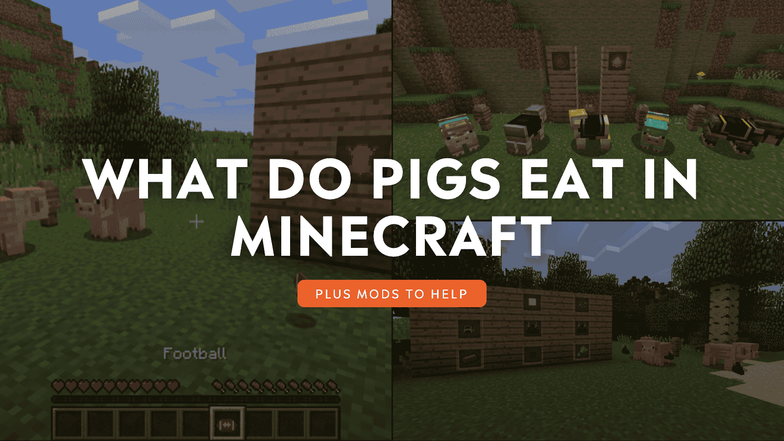 What Do Pigs Eat In Minecraft?