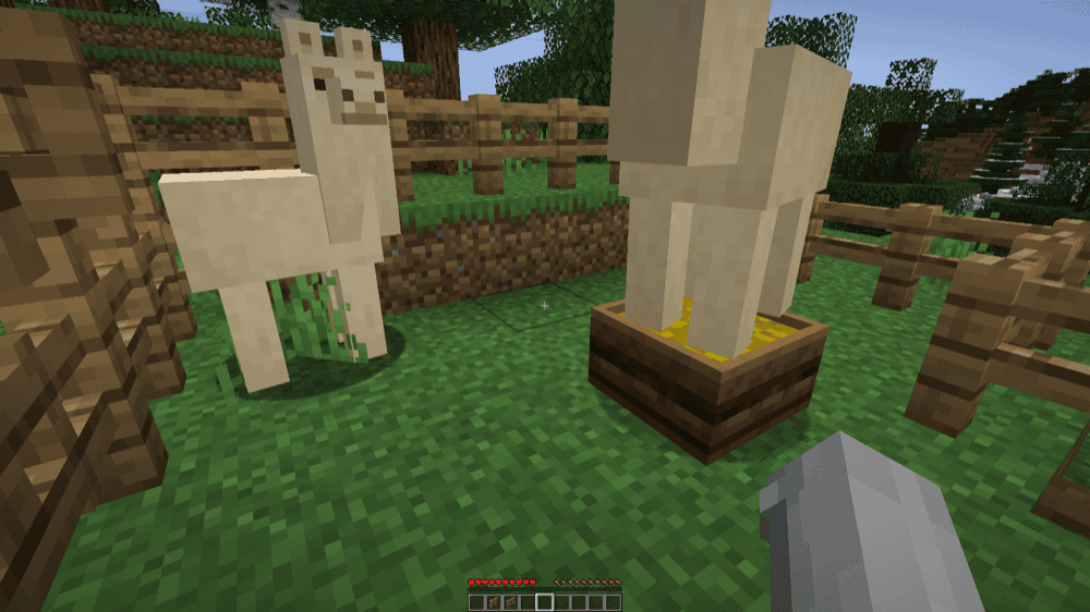 Animal Feeding Trough Mod