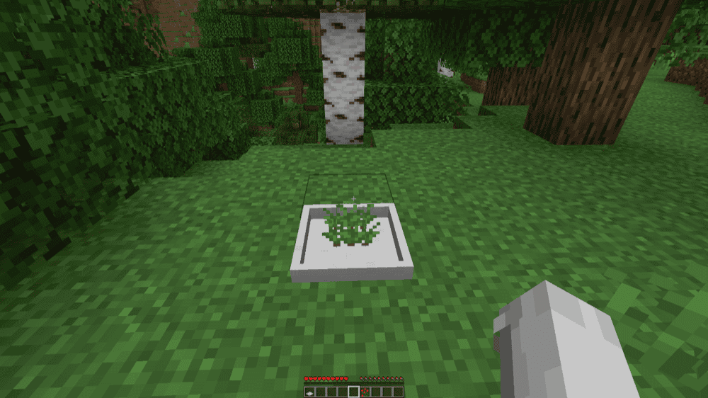 Bonsai Crops Mod