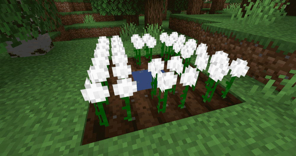 Cottonly Mod