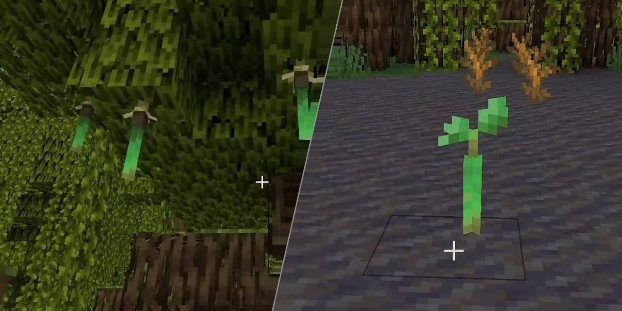 Minecraft split-screen showing hanging mangrove propagules on mangrove leaves and a planted mangrove propagule growing from mud.