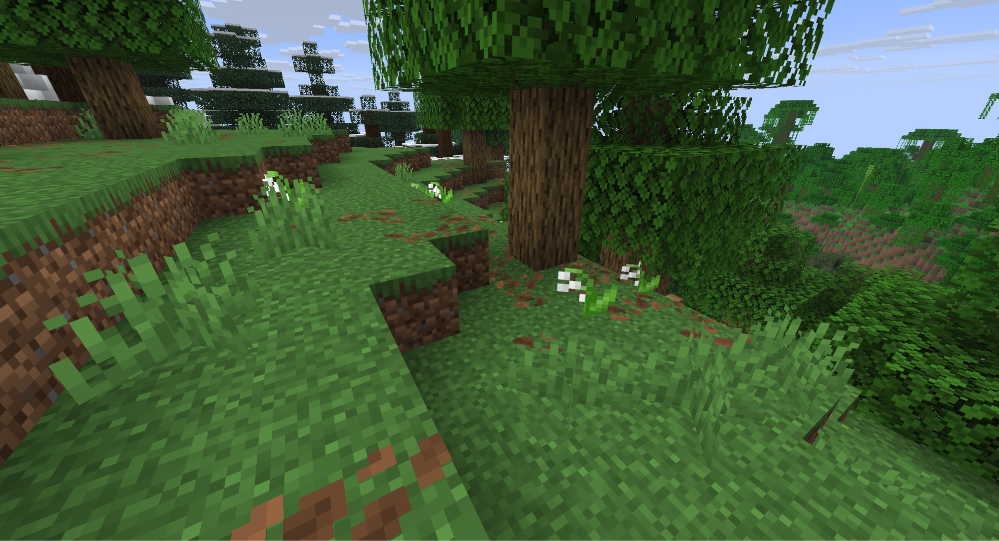 A Minecraft Screenshot of a forest biome with Lilly of the Valley flowers.