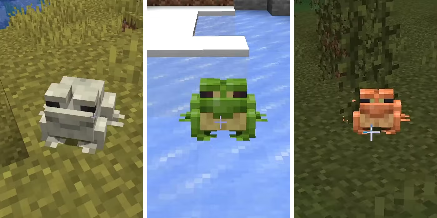 Cold, temperate, and warm Minecraft frogs shown side by side.