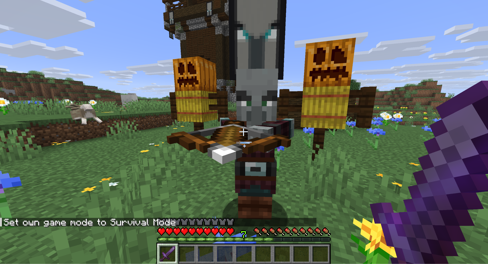 A Minecraft screenshot of the player facing down a Pillager Outpost.