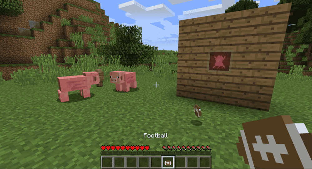 Pam's Pig Skin Mod
