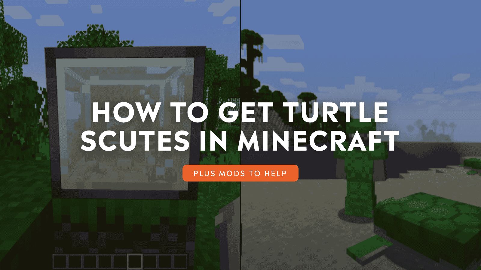How to Get Turtle Scutes in Minecraft