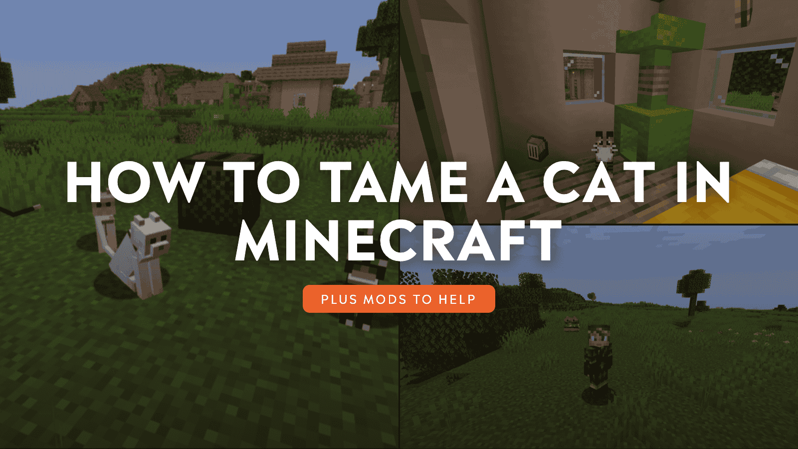 How to Tame a Cat in Minecraft