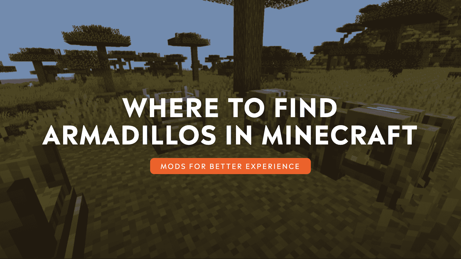 Where to Find Armadillos in Minecraft