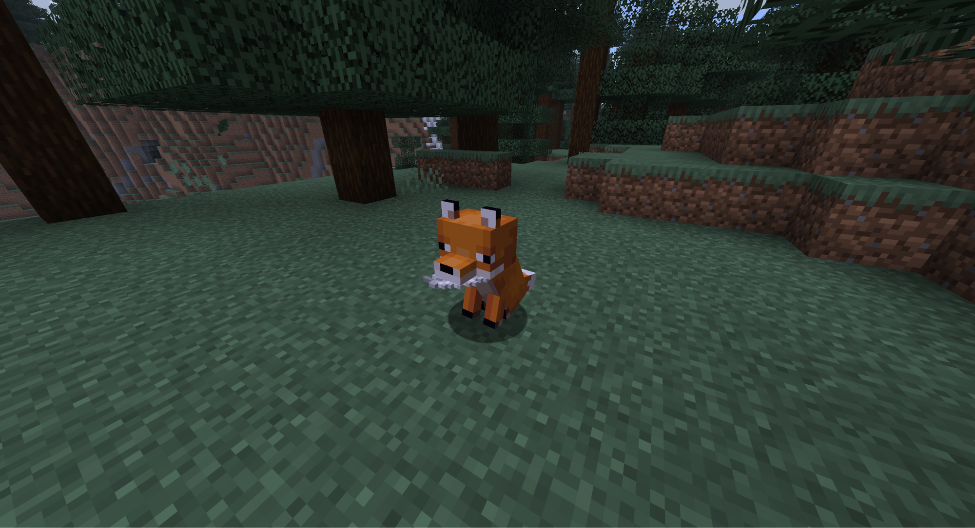 A Minecraft screenshot of a fox holding a feather in a taiga biome.