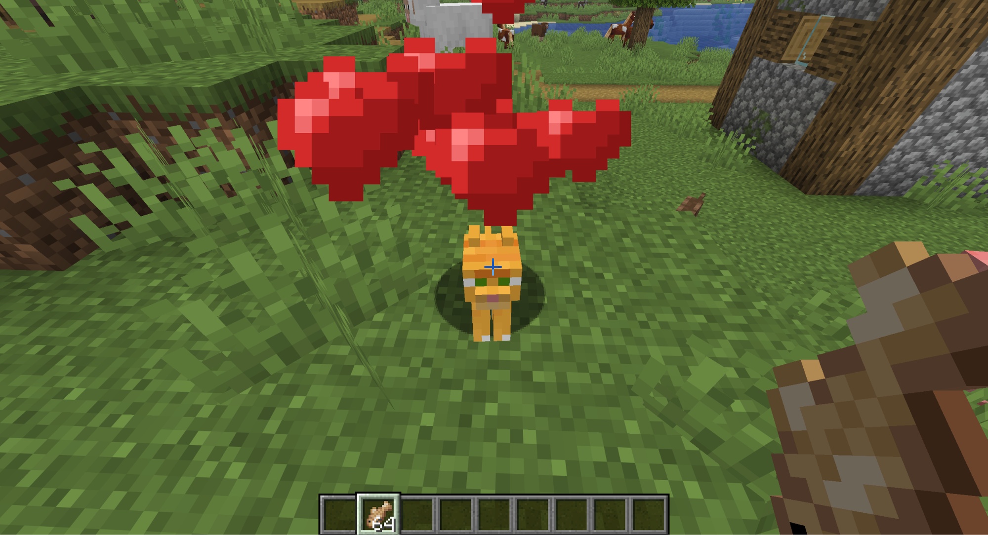 A Minecraft screenshot of a cat being tamed with raw cod.