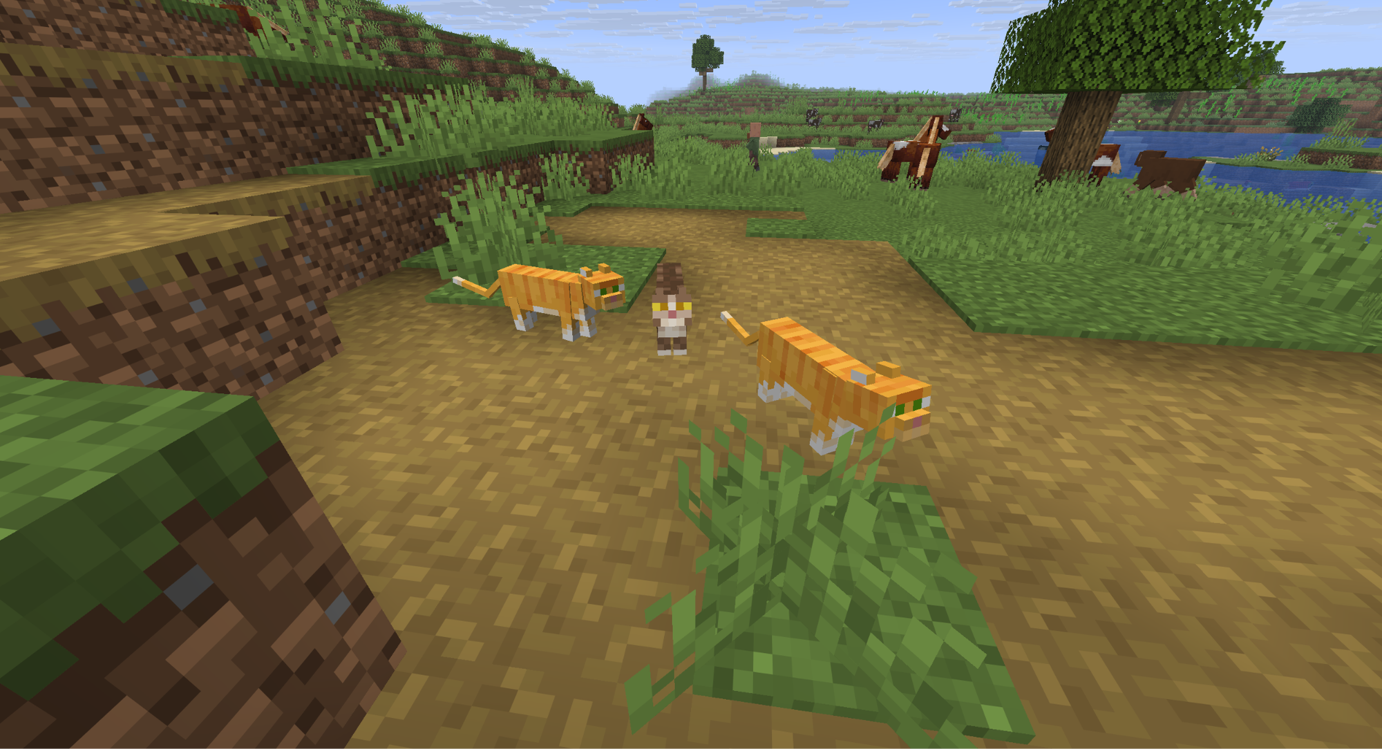 A Minecraft screenshot of three cats on a pathway.
