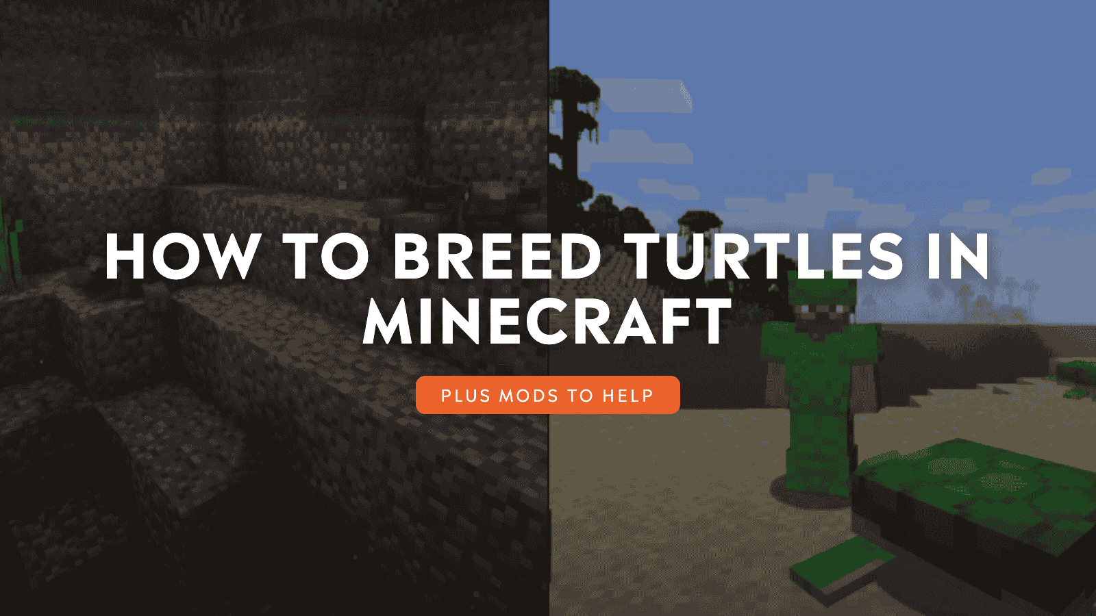 How to Breed Turtles in Minecraft