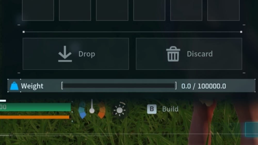 Carry weight increase Mod