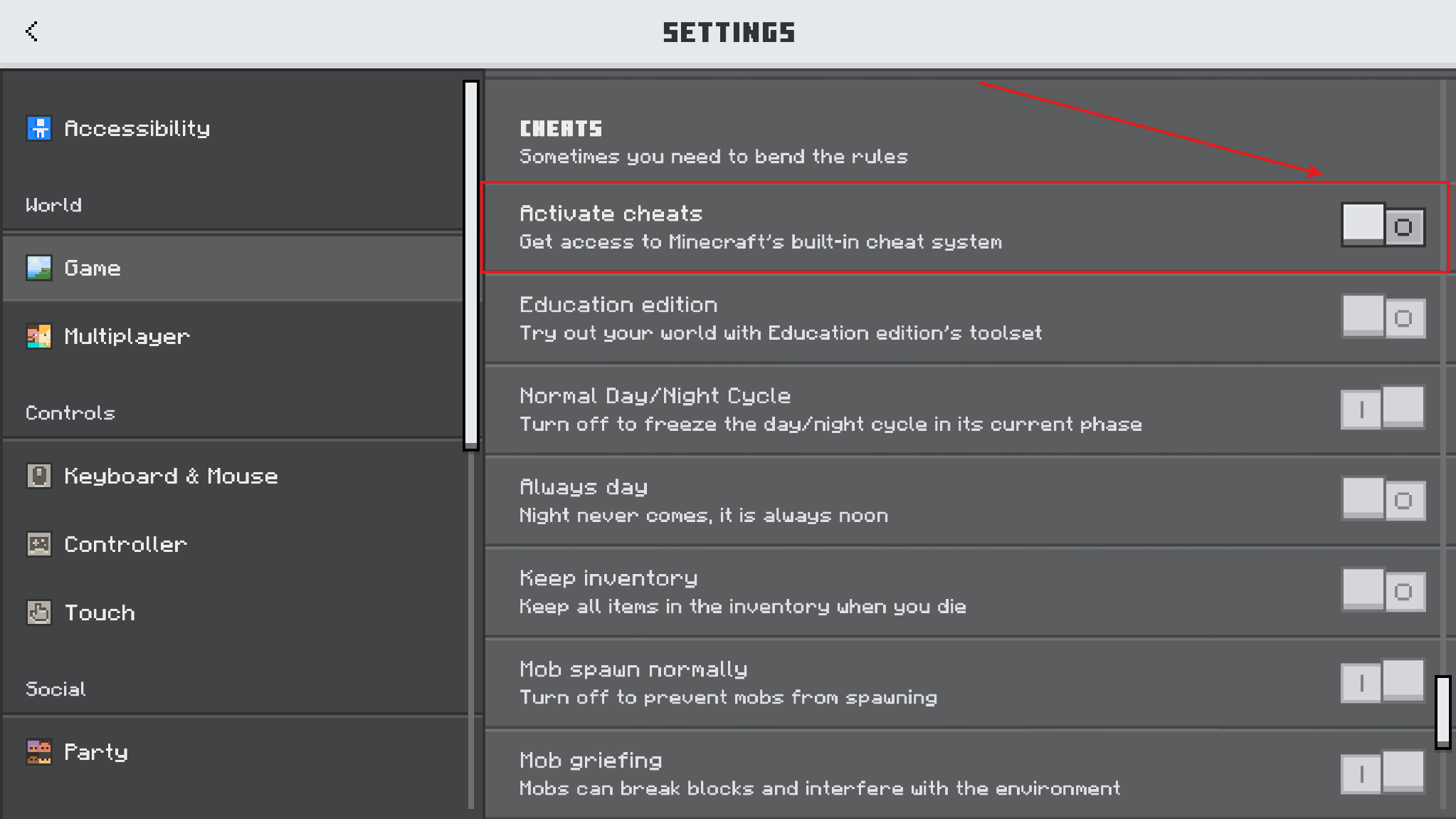 Activate cheats toggle in Minecraft Bedrock world settings.
