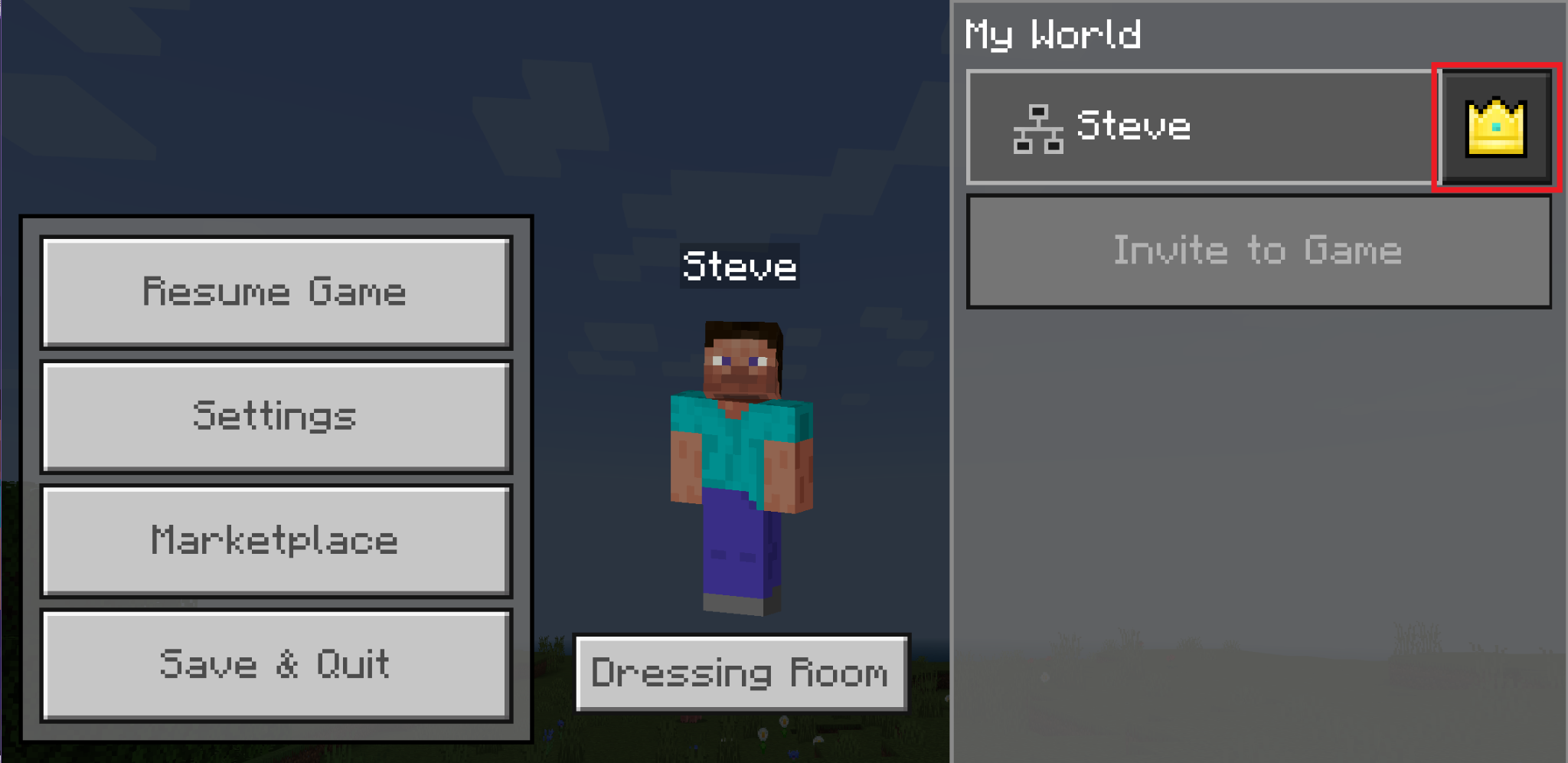 Minecraft Bedrock pause menu with the permissions icon beside a player's name.