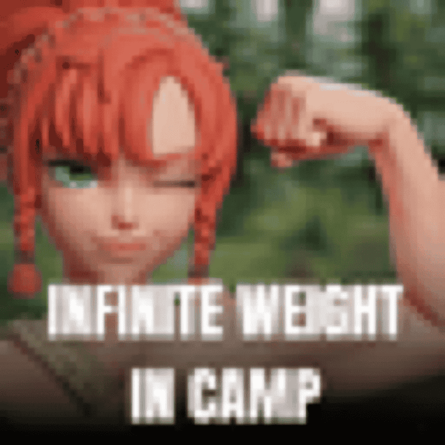 Infinite Weight In Camp Mod