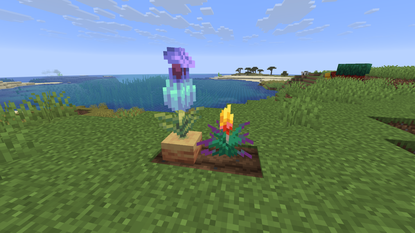 A fully grown torchflower and a pitcher plant growing side by side on grass near the coast.