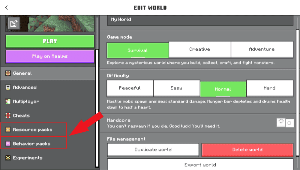 Minecraft Bedrock Edit World settings with Resource Packs and Behavior Packs highlighted.