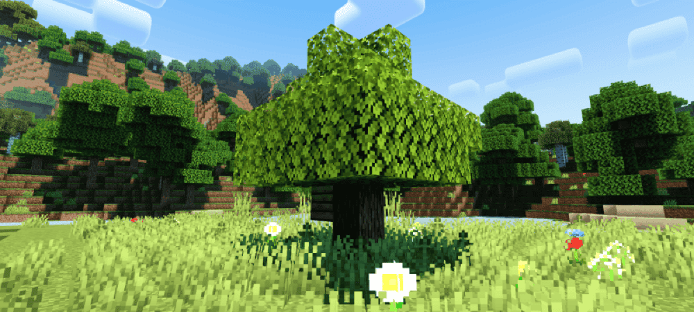 Newb Complementary Shader Shader