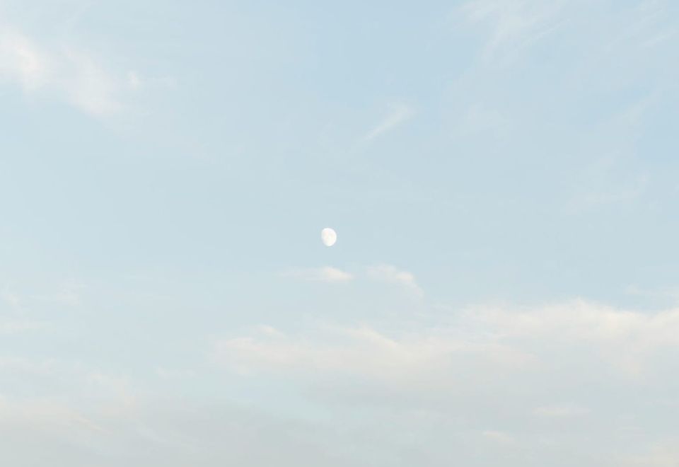 Lunar Rhythms
