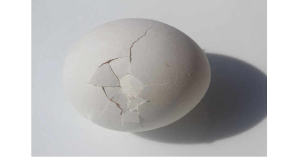 The Ego & Synthetic Desire