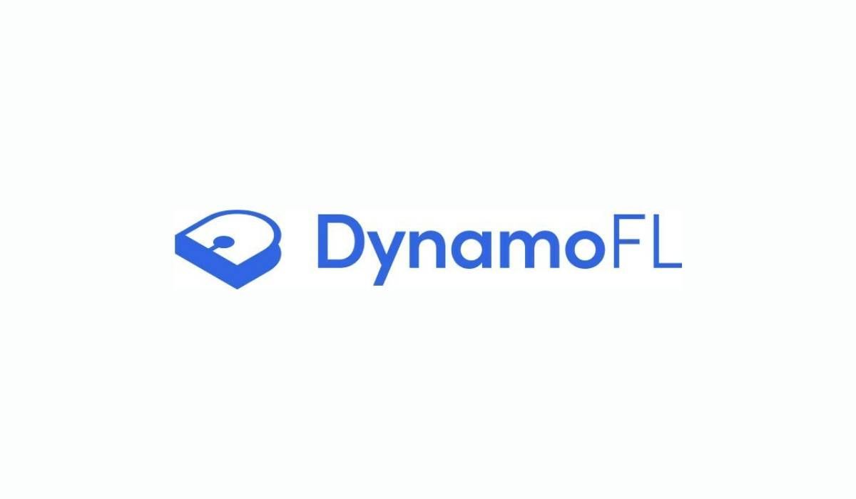DynamoFL Raised $15.1M Series A