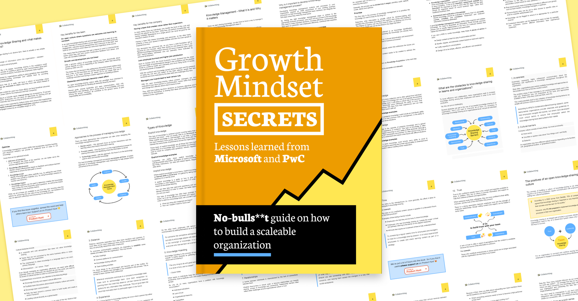 Growth Mindset - Lessons learned from Microsoft and PwC